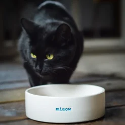 Keith Brymer Jones Keith Brymer Jones | Plates & Bowls^- Cat Bowl - miaow