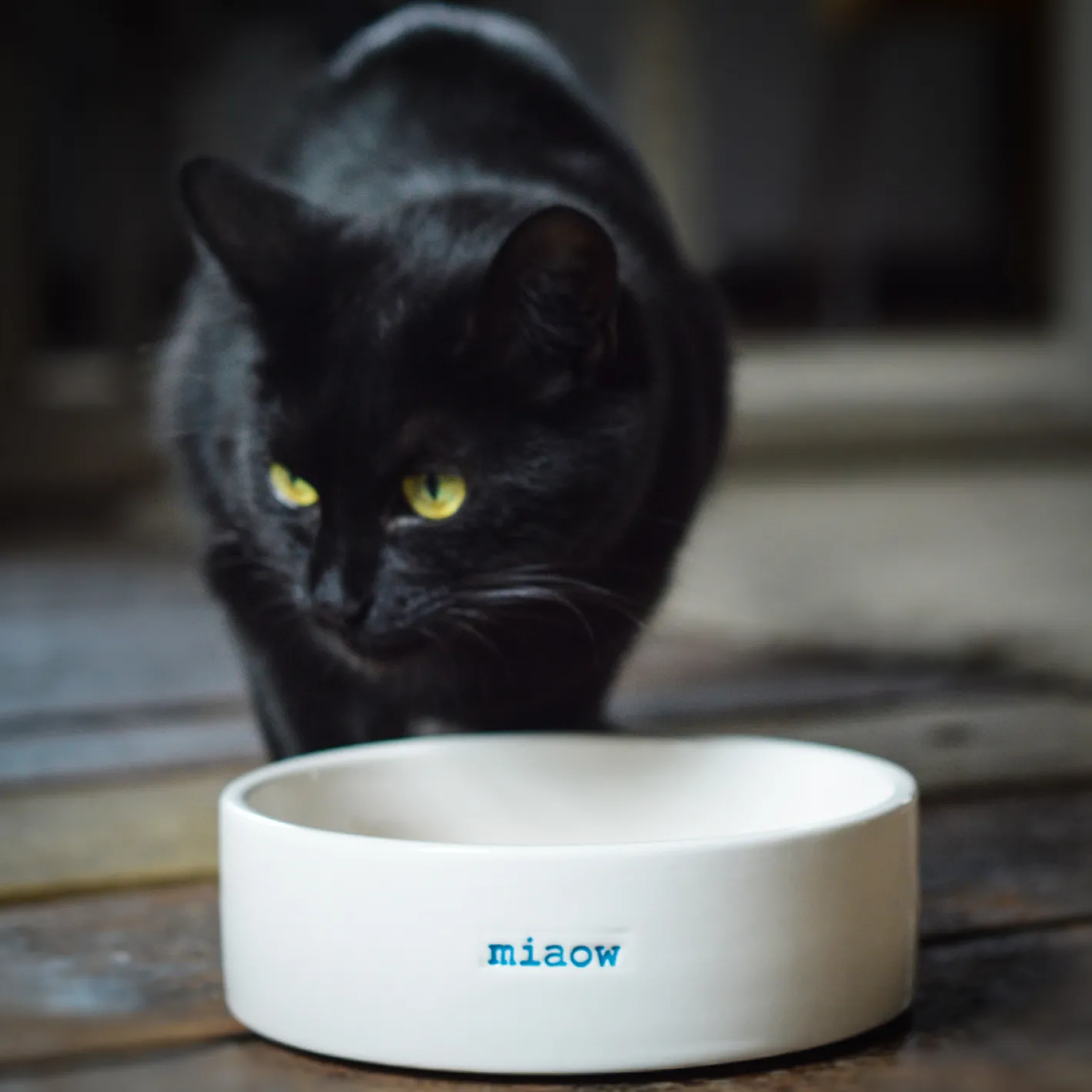 Keith Brymer Jones Keith Brymer Jones | Plates & Bowls^- Cat Bowl - miaow