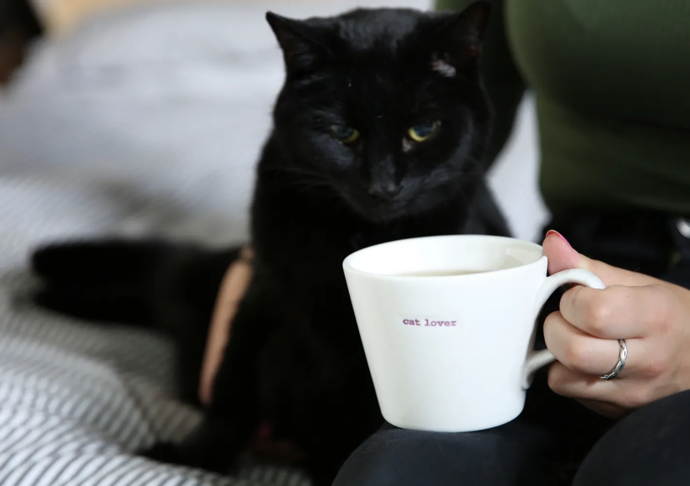 Keith Brymer Jones Keith Brymer Jones | Mugs & Cups^- Medium Mug - cat lover - 350ml